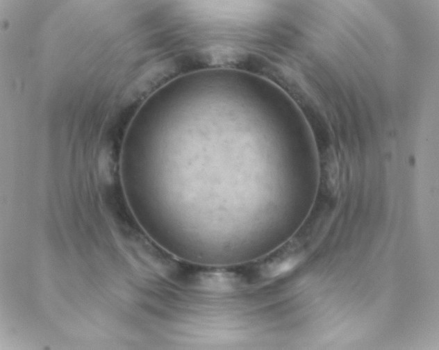 X0000088830316200706071402