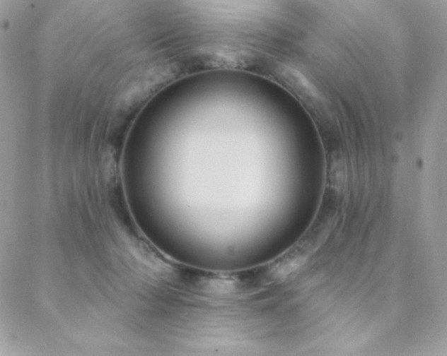 X0000088830318200706071401