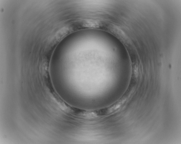 X0000088830322200706071401