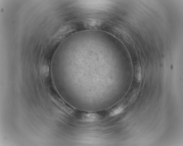 X0000088830324200706071401