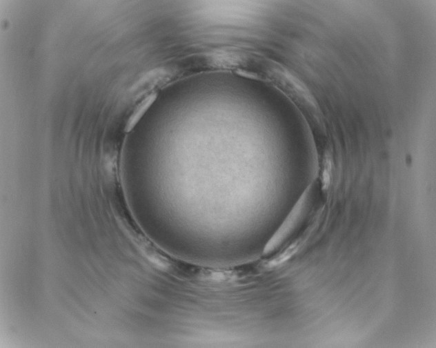 X0000088830329200706071401