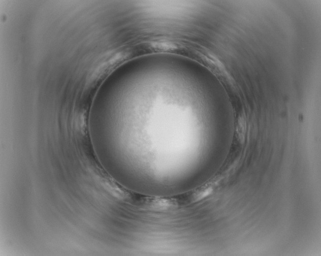 X0000088830330200706071401