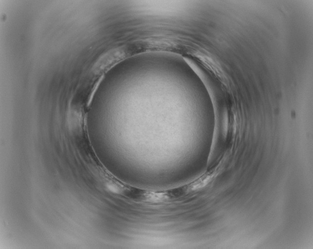 X0000088830333200706071401