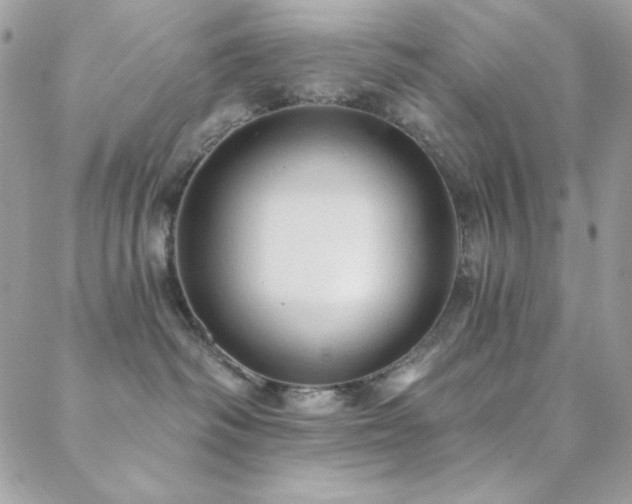 X0000088830334200706071401