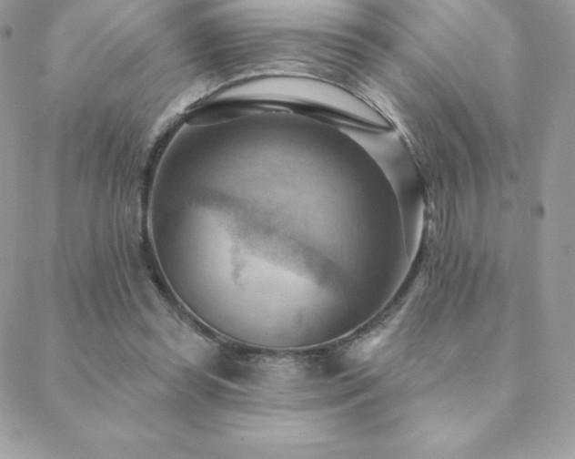 X0000088830349200706071401