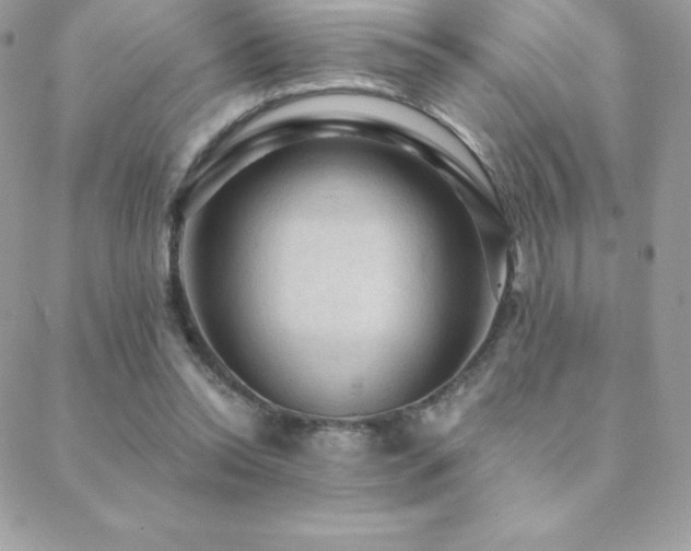 X0000088830350200706071401