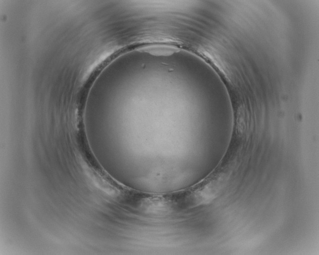 X0000088830351200706071401
