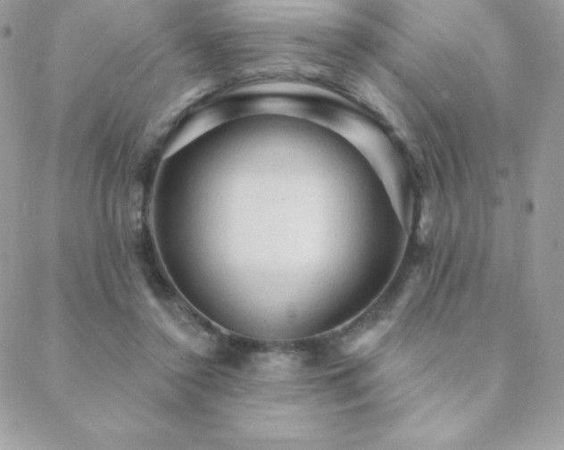 X0000088830356200706071401
