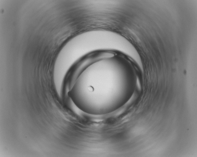 X0000088830364200706071401