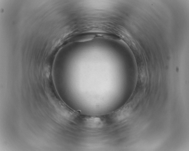 X0000088830374200706071401