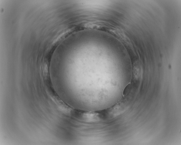 X0000088830375200706071401