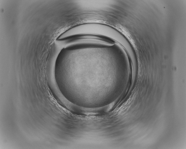 X0000088830385200706071400