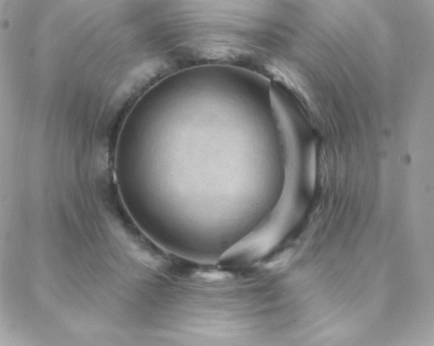 X0000088830407200706071400
