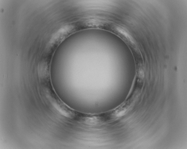 X0000088830411200706071400