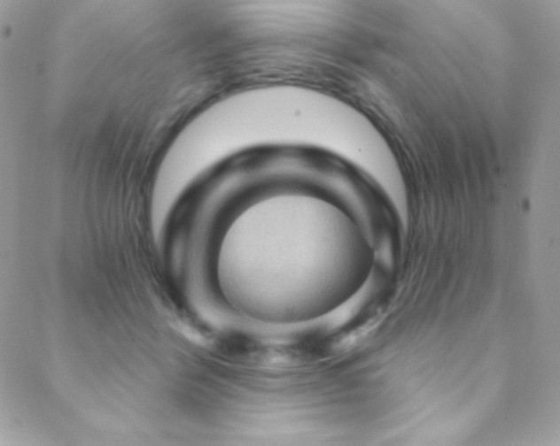 X0000088830412200706071400