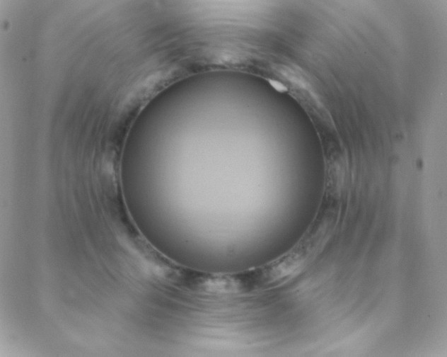 X0000088830415200706071400