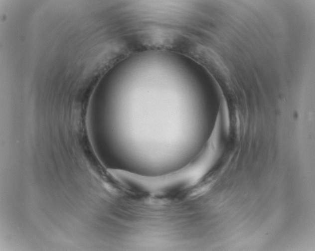 X0000088830416200706071400