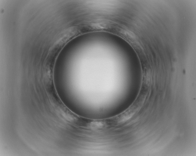 X0000088830418200706071400