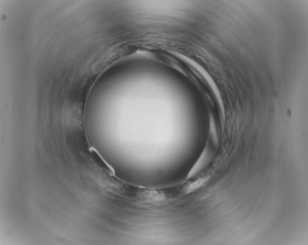 X0000088830421200706071400