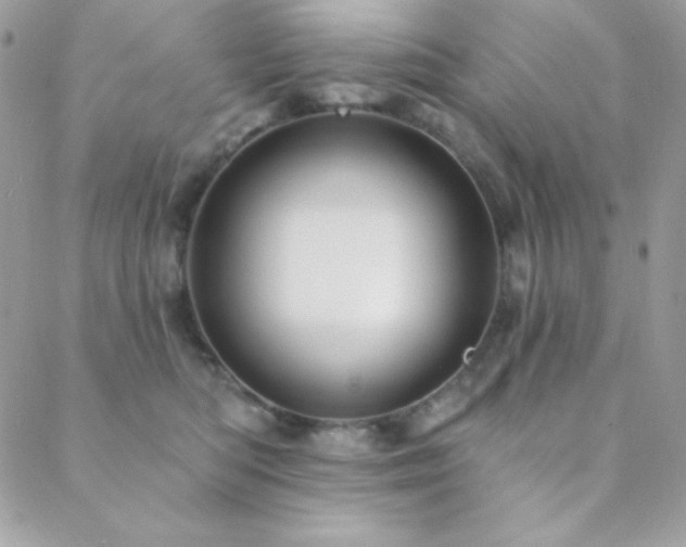 X0000088830422200706071400