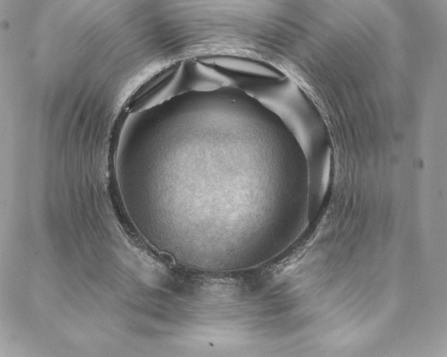 X0000088830438200706071359