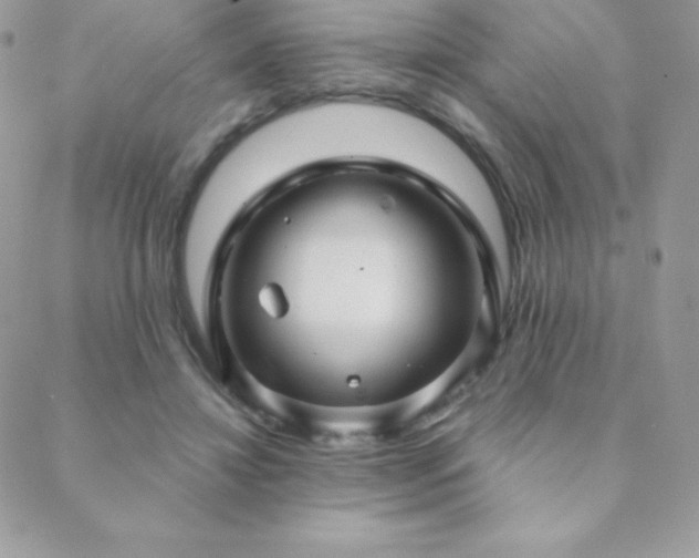 X0000088830452200706071359