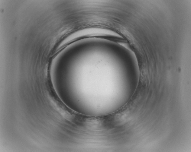 X0000088830454200706071359