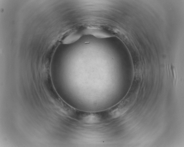X0000088830460200706071359