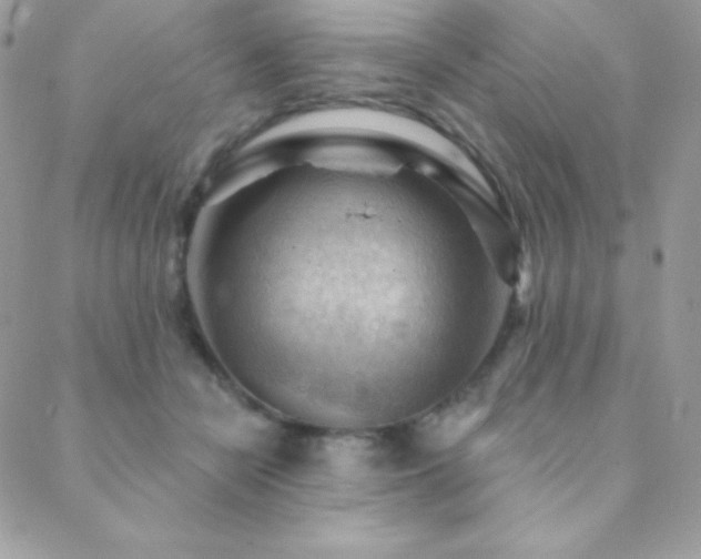 X0000088830462200706071359