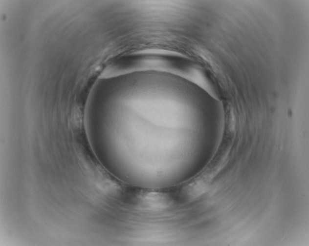 X0000088830467200706071359