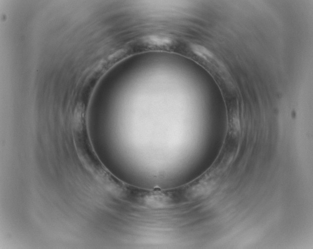 X0000088830468200706071359