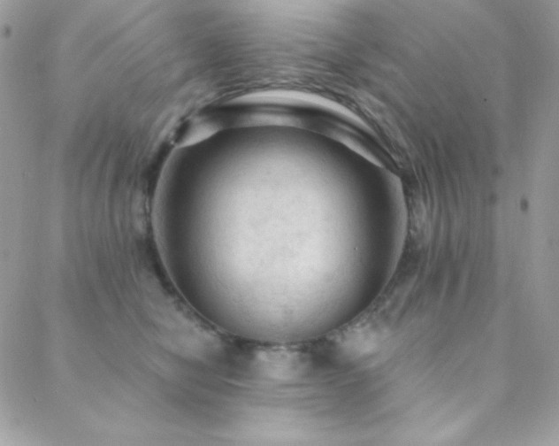 X0000088830470200706071359
