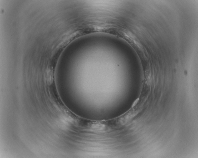 X0000088830471200706071359