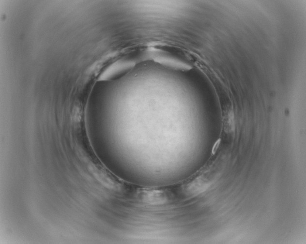 X0000088830472200706071359