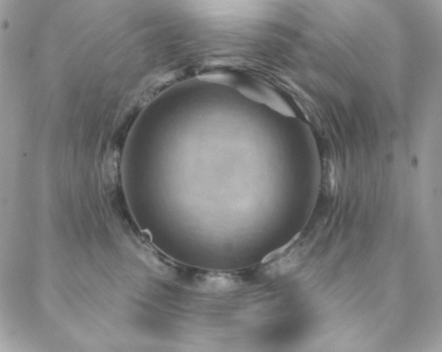 X0000088830475200706071400