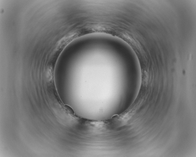 X0000088830478200706071400