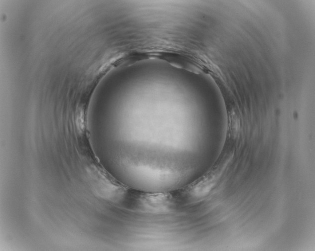 X0000088830479200706071400