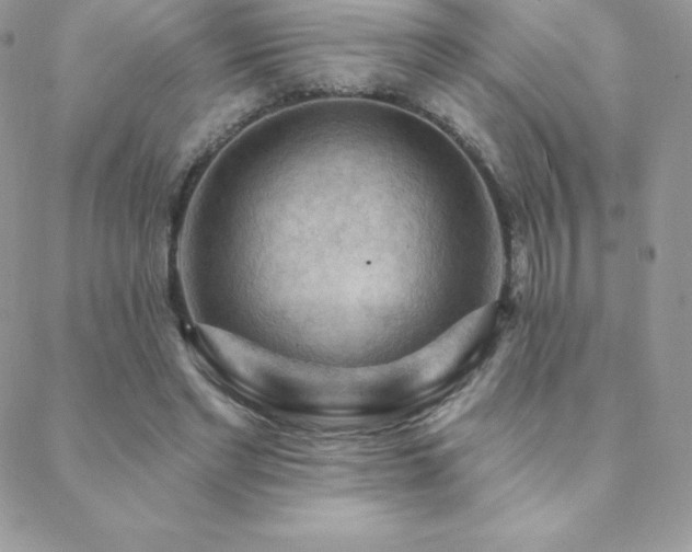 X0000088830493200706071359
