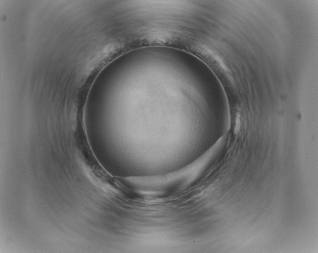 X0000088830496200706071359