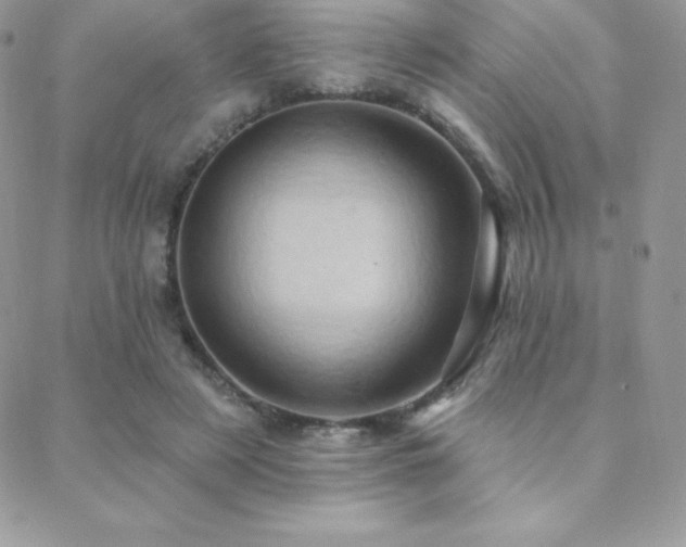 X0000088830497200706071359