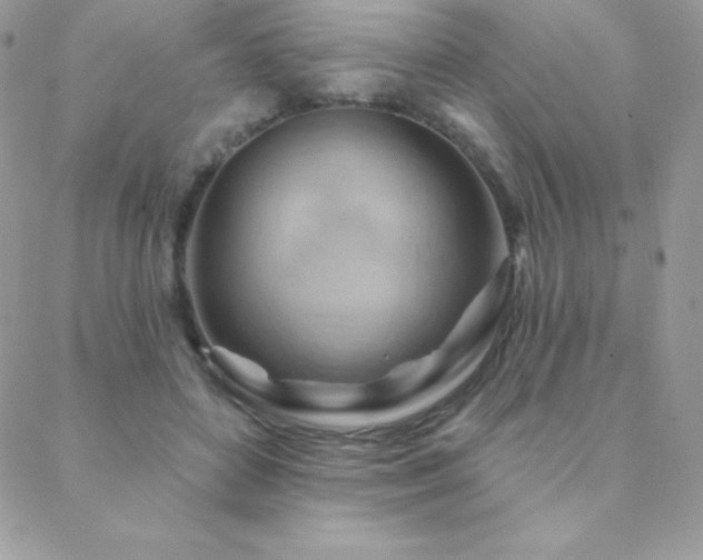 X0000088830504200706071358
