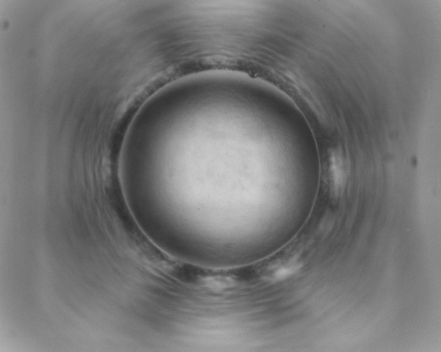 X0000088830508200706071358