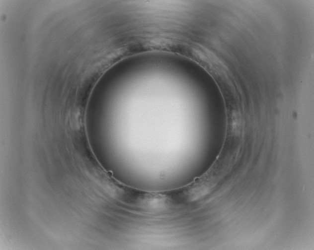 X0000088830514200706071358