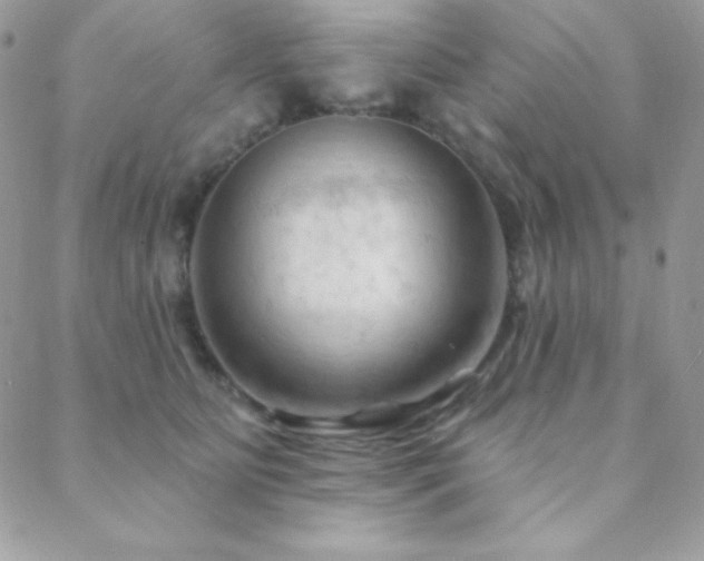 X0000088830515200706071358