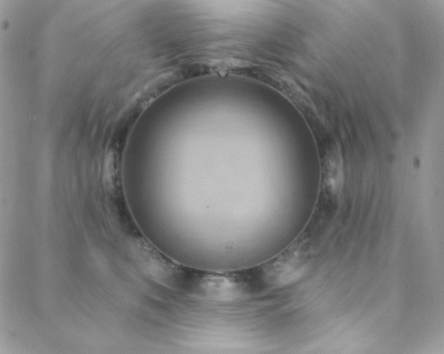X0000088830519200706071358