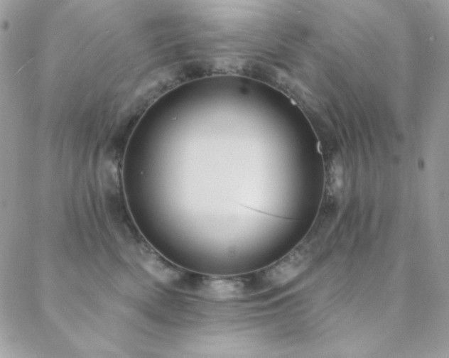 X0000088830522200706071358