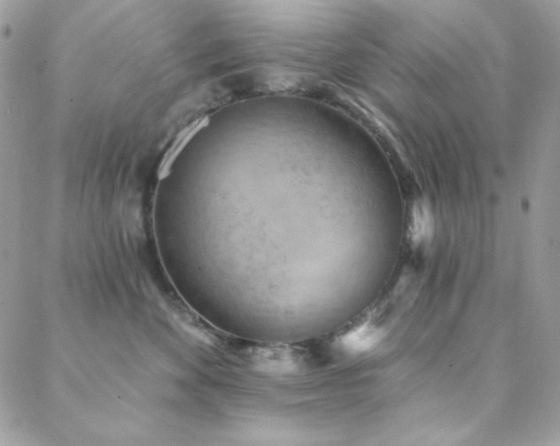 X0000088830524200706071358