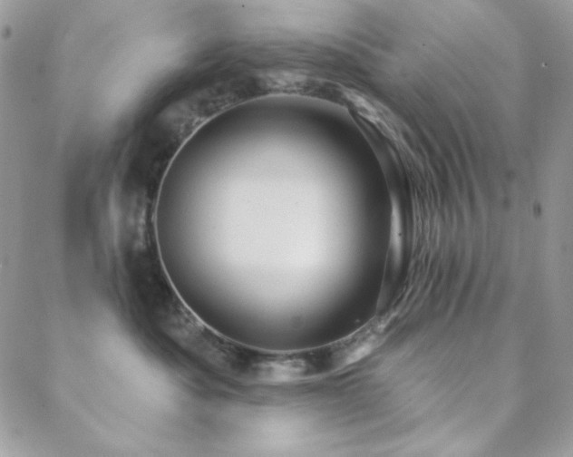 X0000088830525200706071358