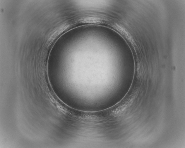 X0000088830529200706071357