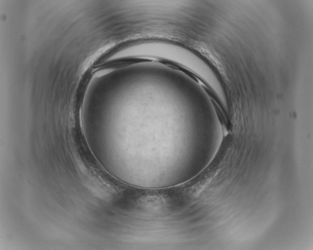 X0000088830536200706071357